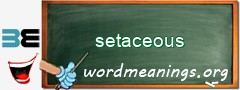 WordMeaning blackboard for setaceous